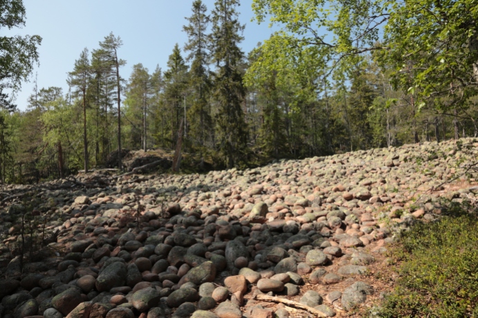 Ein Geröllfeld mit Steinen die durch die Wellen geformt und geschliffen wurden etwa 200 m über NN